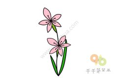粉色的水仙花简笔画
