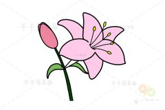 百合花简笔画 简单又漂亮