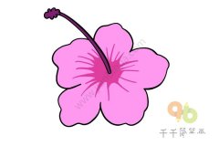 粉色的花朵简笔画