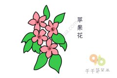 苹果花简笔画图片