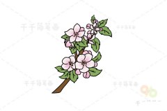苹果花简笔画步骤图