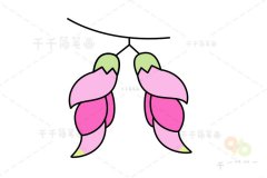 禾雀花简笔画图片