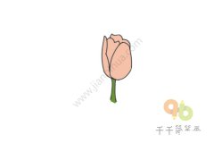 漂亮的郁金香简笔画_1