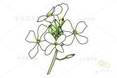 萝卜花简笔画步骤图