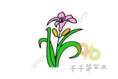 百合花简笔画_1
