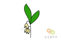 漂亮的铃兰花简笔画图片