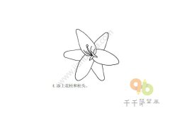 漂亮的百合花简笔画步骤图大全