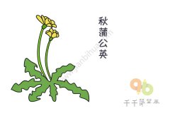 秋天的蒲公英简笔画