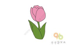 著名的球根花卉 郁金香简笔画