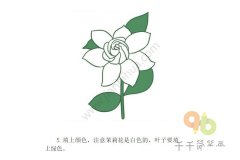 清新的茉莉花简笔画步骤图