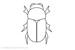 甲虫简笔画图片大全