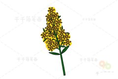 秋麒麟花简笔画