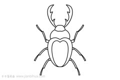 甲虫简笔画大全