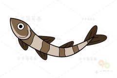 条纹斑竹鲨简笔画