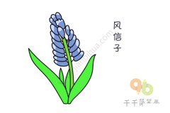 风信子简笔画图片