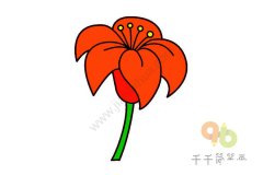 漂亮的红色花朵简笔画