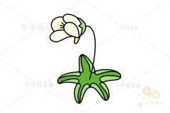 高山捕虫堇简笔画