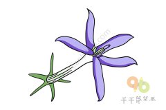 漂亮的彩星花简笔画