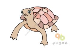 教你怎么画地龟