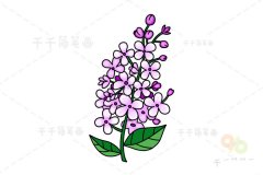 花朵画法 丁香花简笔画