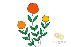 花朵简笔画 夏天的景色