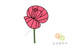 美丽的虞美人简笔画