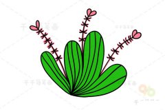 美丽的蝴蝶兰简笔画