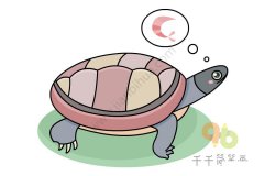 云南闭壳龟简笔画步骤图