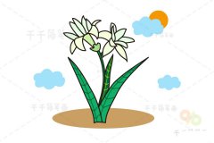 花朵简笔画 晚香玉的画法