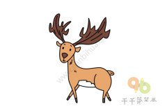 教你画麋鹿简笔画怎么画