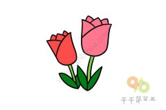 美丽的郁金香简笔画