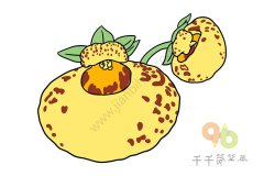 蒲包花简笔画教程