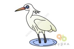 教你画黄嘴白鹭简笔画