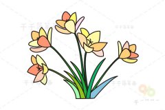 花朵简笔画 香雪兰的画法