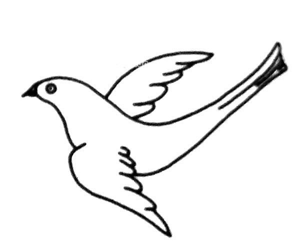 简单的喜鹊简笔画图片3