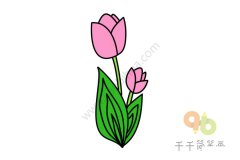 美丽的郁金香简笔画画法