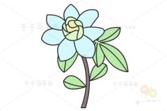 蓝色小花简笔画 幼儿学画