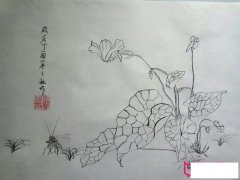 植物简笔画图片，漂亮的花朵