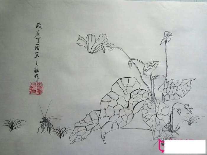 植物简笔画图片，漂亮的花朵