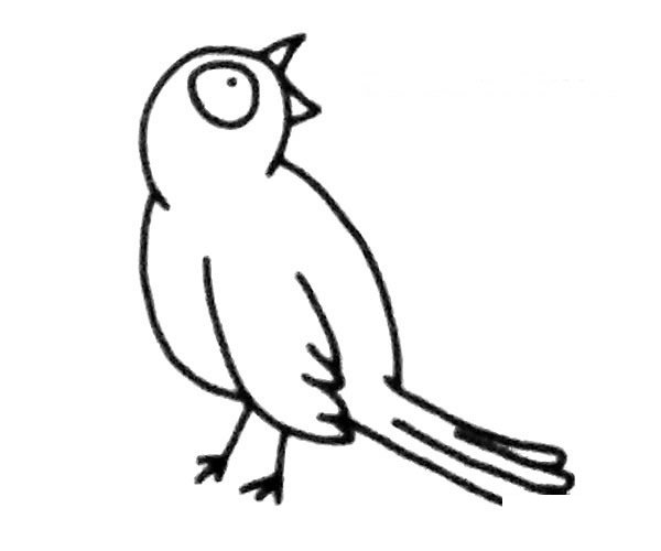 简单的喜鹊简笔画图片2