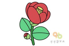 红色山茶花简笔画