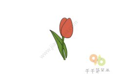 红色郁金香简笔画图片大全 简单又漂亮