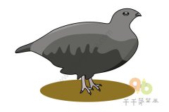 教你画岩雷鸟简笔画