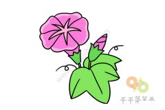 花朵简笔画大全集  简单易学