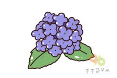 绣球花简笔画怎么画