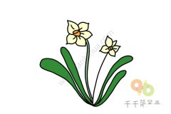 绽放的水仙花简笔画图片