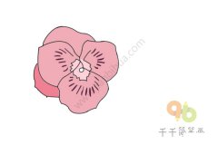 绽放的蝴蝶花琼花简笔画