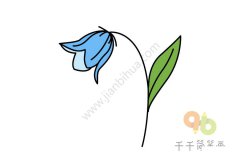 蓝色风铃草简笔画