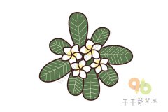 鸡蛋花简笔画步骤图教程