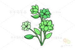 绿菟葵简笔画画法